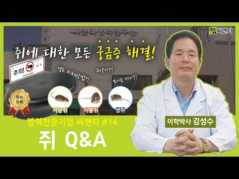 쥐 Q&A