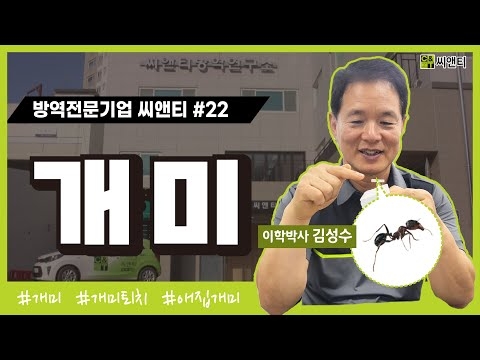 개미 종류 및 퇴치방법