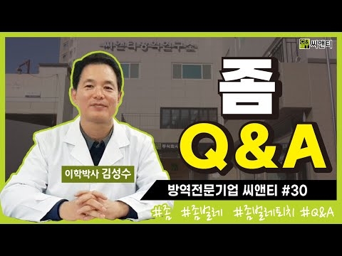 좀 Q&A