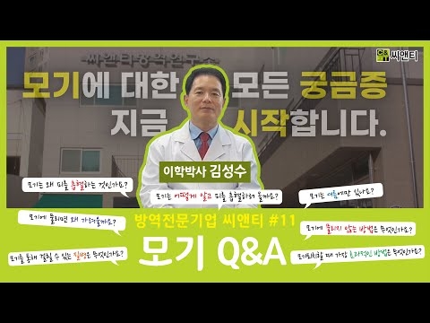 모기 Q&A