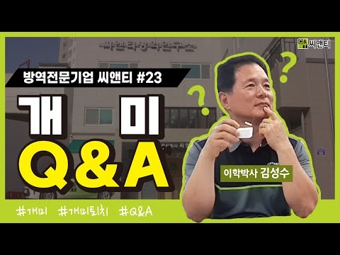 개미 Q&A