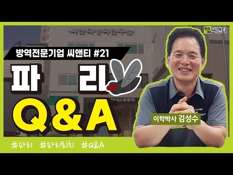 파리 Q&A